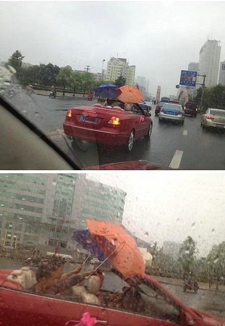 Bildschirmarbeiter - Picdump 10.05.2013