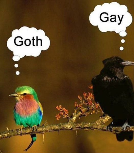 Bildschirmarbeiter - Picdump 10.05.2013