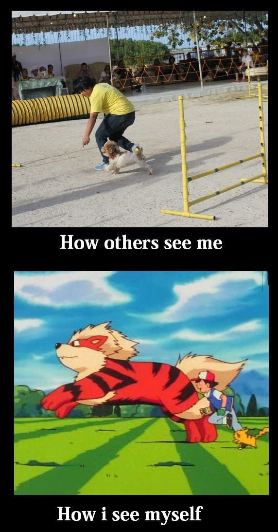 Bildschirmarbeiter - Picdump 10.05.2013