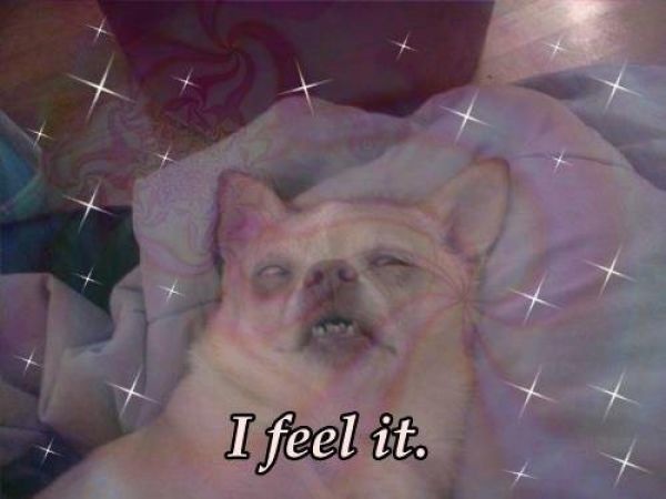 Bildschirmarbeiter - Picdump 17.05.2013