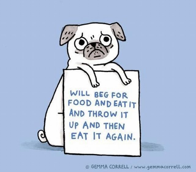 Bildschirmarbeiter - Picdump 17.05.2013