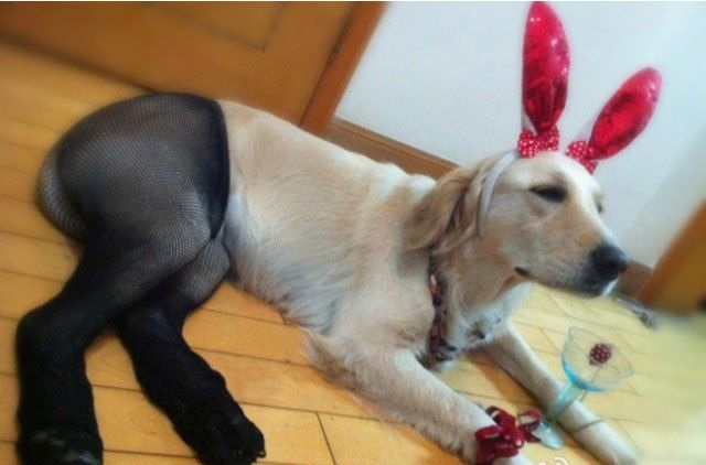 Bildschirmarbeiter - Picdump 17.05.2013