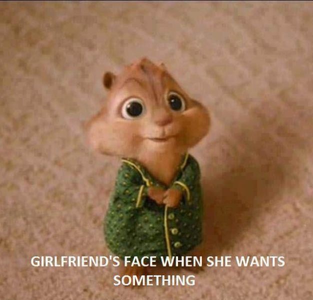 Bildschirmarbeiter - Picdump 17.05.2013