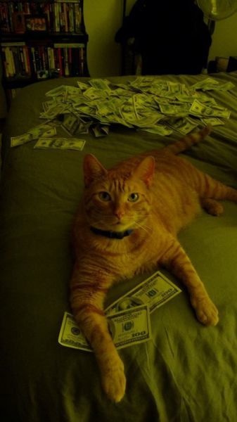 Bildschirmarbeiter - Picdump 31.05.2013