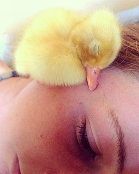 Bildschirmarbeiter - Picdump 31.05.2013