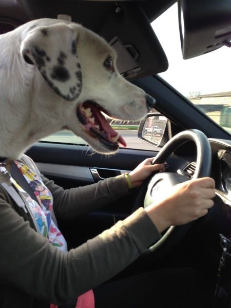 Bildschirmarbeiter - Picdump 31.05.2013