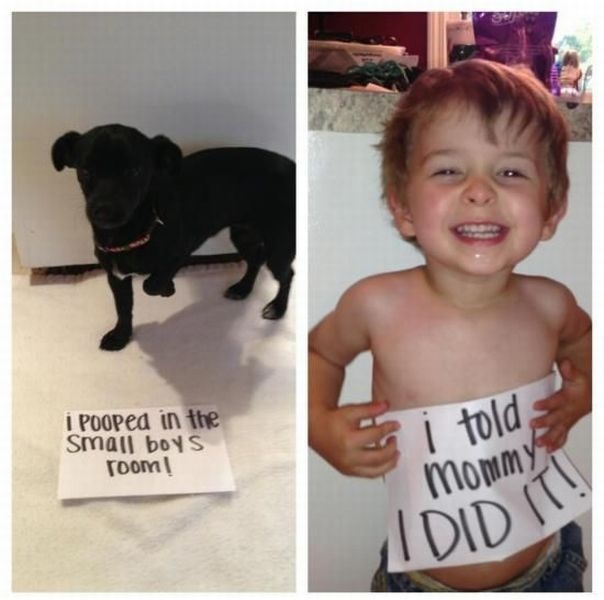 Bildschirmarbeiter - Picdump 31.05.2013