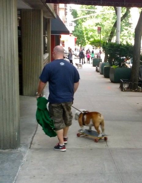 Bildschirmarbeiter - Picdump 31.05.2013