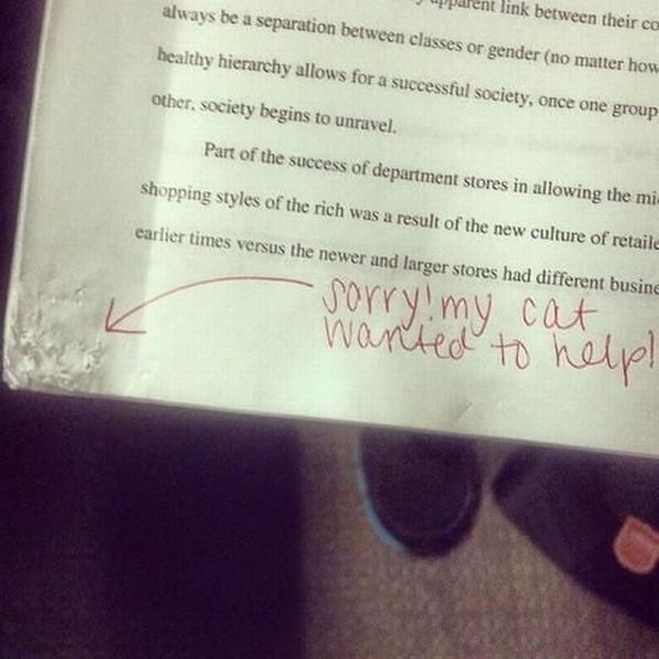 Bildschirmarbeiter - Picdump 31.05.2013