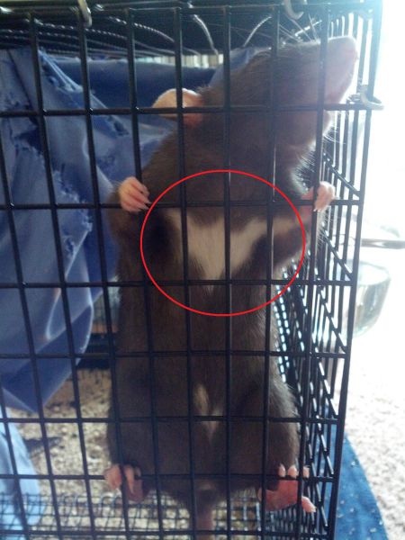 Bildschirmarbeiter - Picdump 31.05.2013