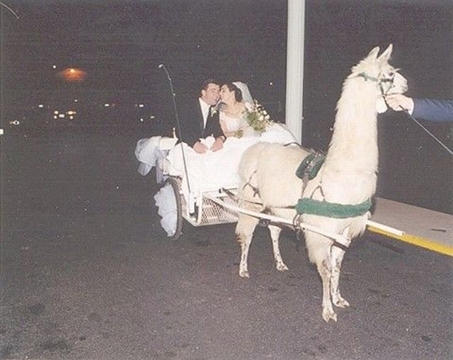 Bildschirmarbeiter - Picdump 31.05.2013