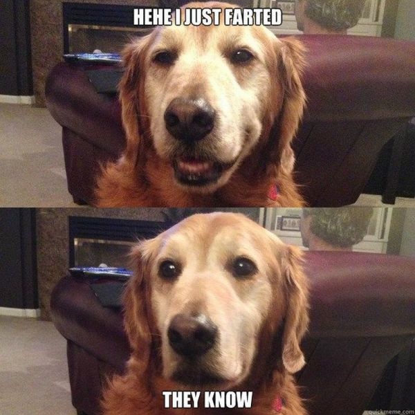 Bildschirmarbeiter - Picdump 31.05.2013