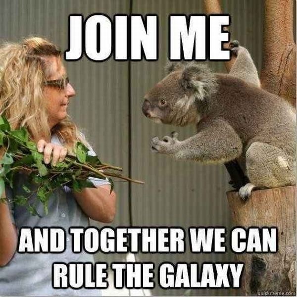 Bildschirmarbeiter - Picdump 31.05.2013