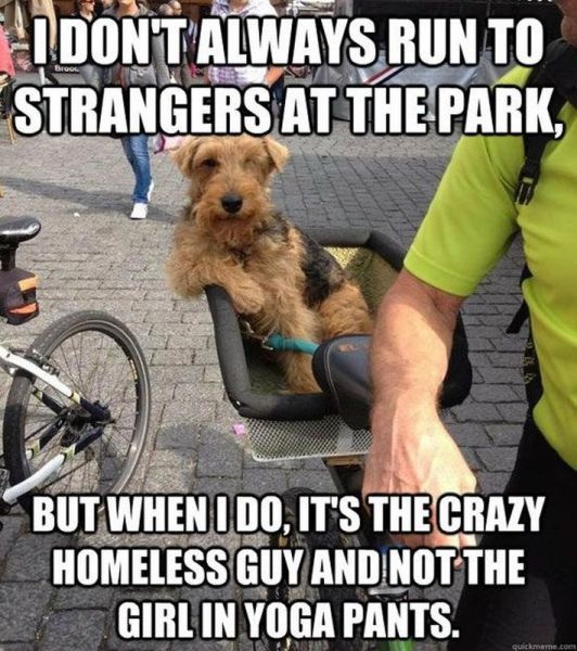 Bildschirmarbeiter - Picdump 31.05.2013