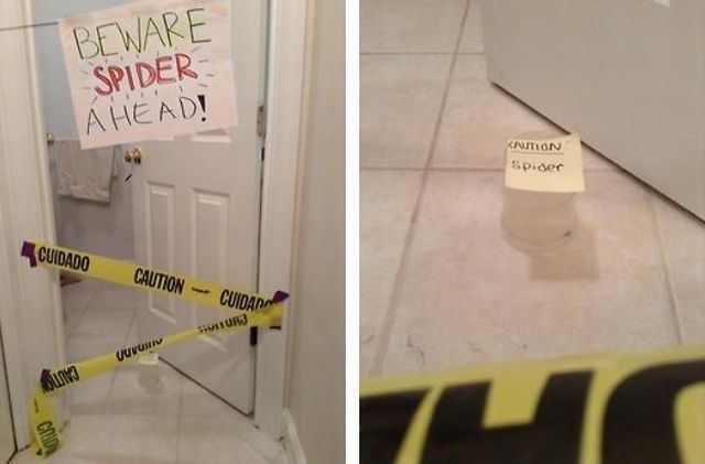 Bildschirmarbeiter - Picdump 07.06.2013