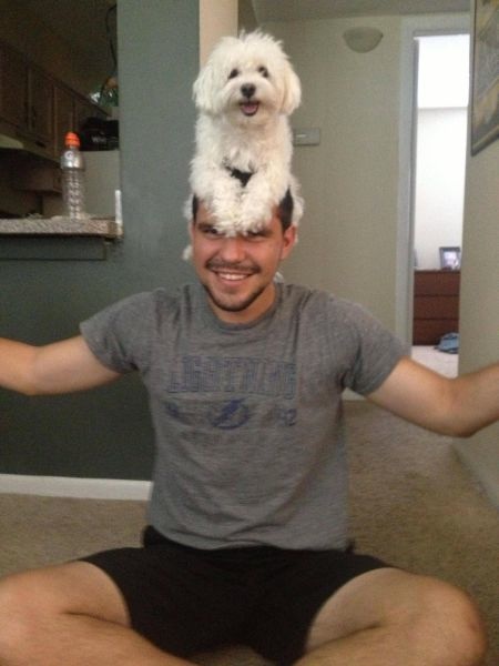 Bildschirmarbeiter - Picdump 07.06.2013