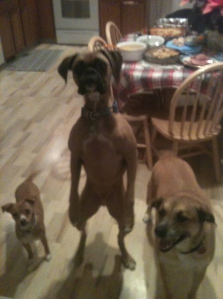 Bildschirmarbeiter - Picdump 07.06.2013