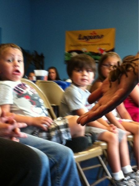 Bildschirmarbeiter - Picdump 07.06.2013