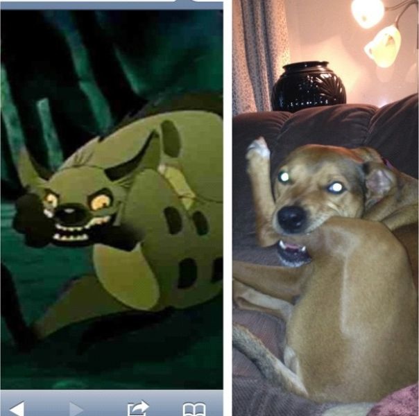 Bildschirmarbeiter - Picdump 07.06.2013