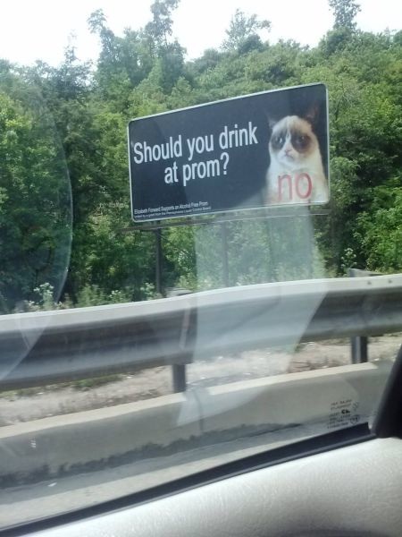 Bildschirmarbeiter - Picdump 07.06.2013