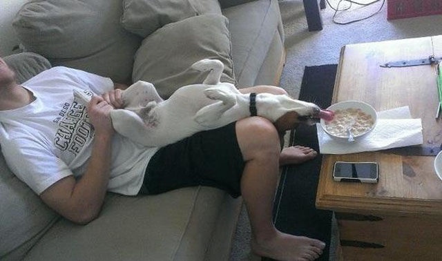 Bildschirmarbeiter - Picdump 07.06.2013