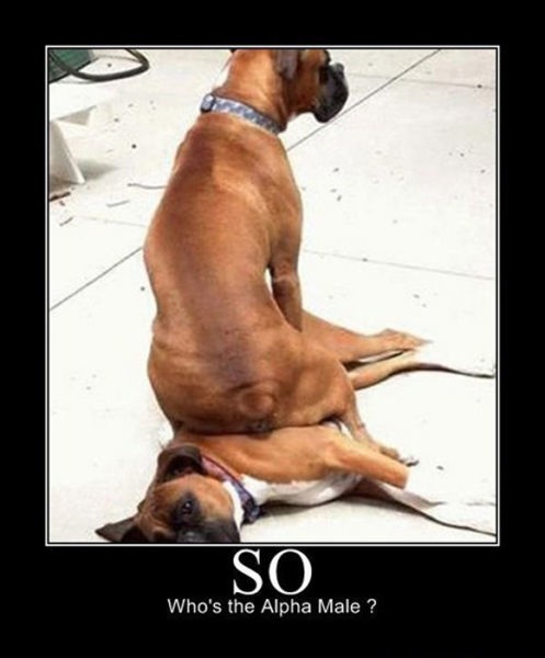 Bildschirmarbeiter - Picdump 07.06.2013