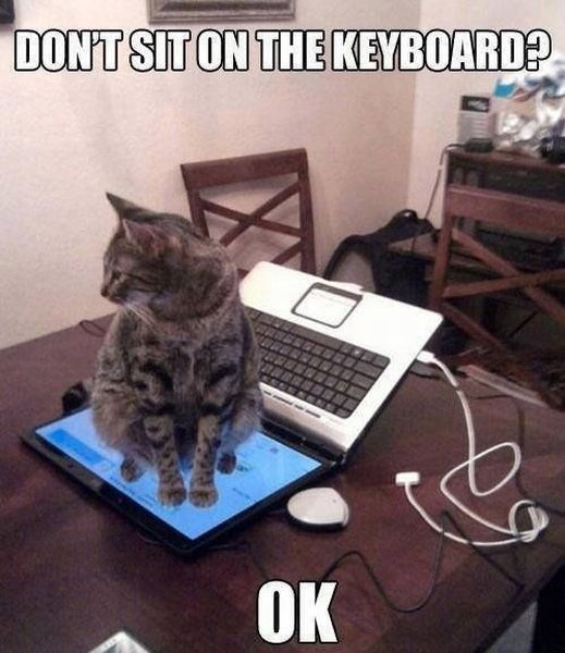 Bildschirmarbeiter - Picdump 07.06.2013