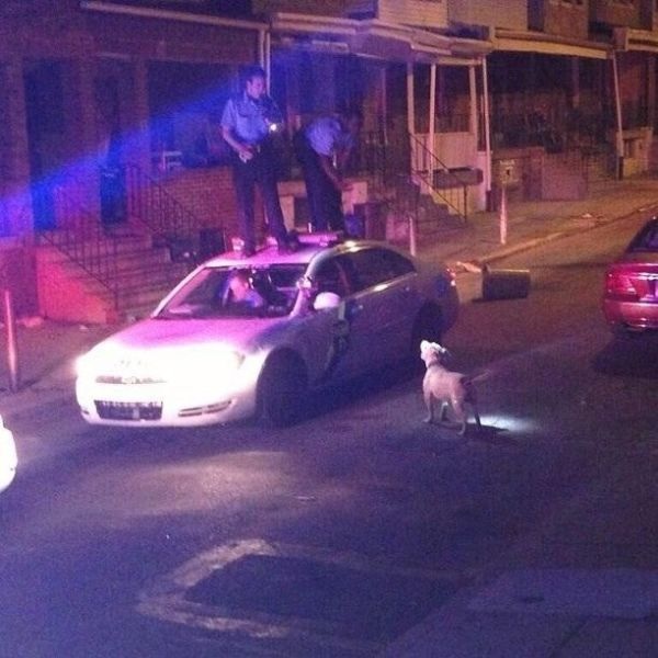 Bildschirmarbeiter - Picdump 07.06.2013