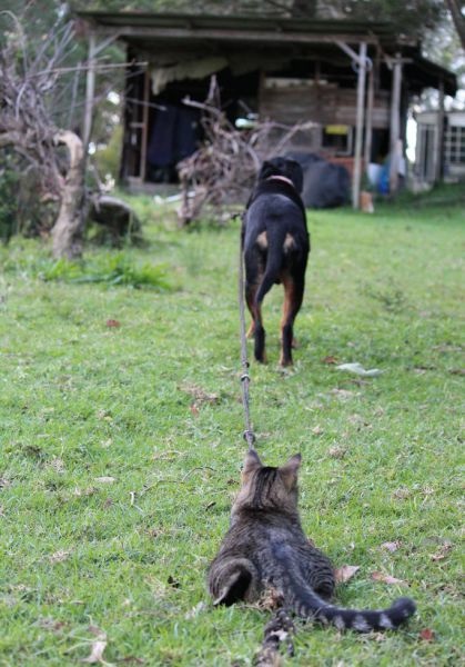 Bildschirmarbeiter - Picdump 07.06.2013