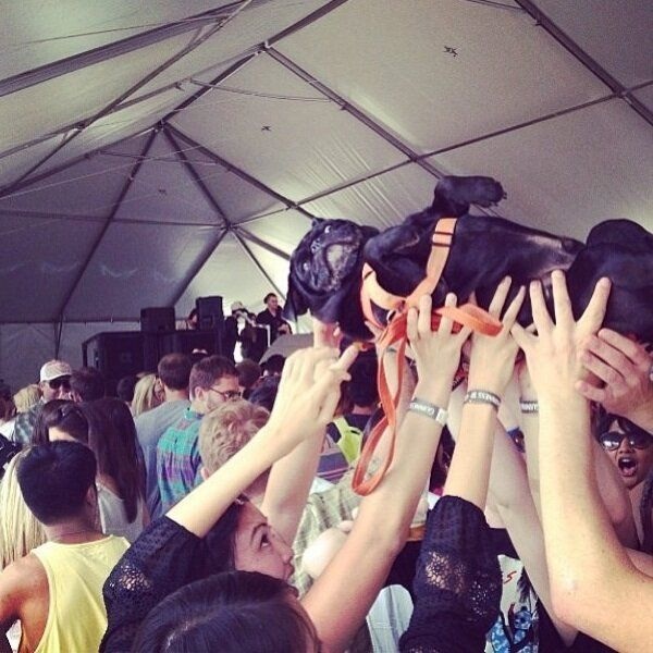 Bildschirmarbeiter - Picdump 07.06.2013