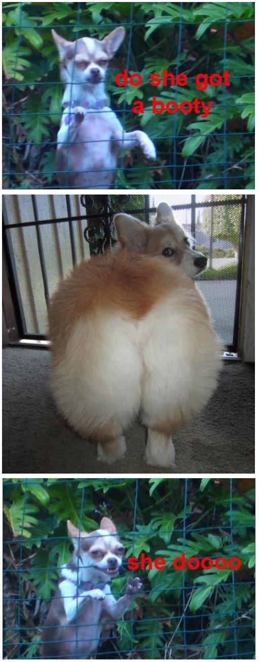 Bildschirmarbeiter - Picdump 07.06.2013