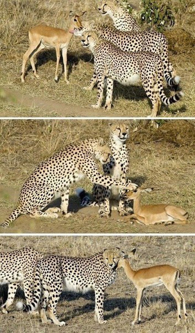 Bildschirmarbeiter - Picdump 07.06.2013