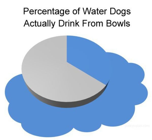 Bildschirmarbeiter - Picdump 14.06.2013