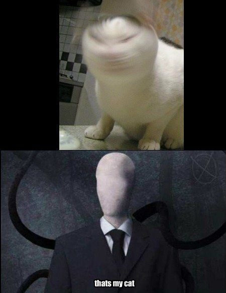 Bildschirmarbeiter - Picdump 14.06.2013