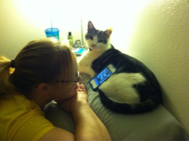 Bildschirmarbeiter - Picdump 14.06.2013