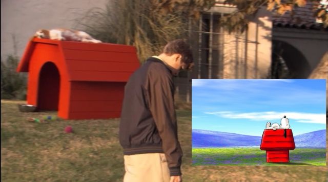 Bildschirmarbeiter - Picdump 14.06.2013