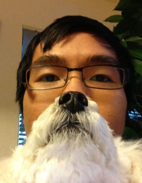 Bildschirmarbeiter - Picdump 14.06.2013