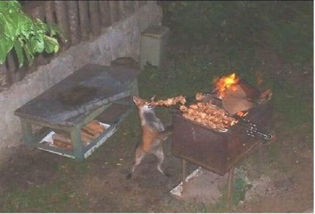 Bildschirmarbeiter - Picdump 14.06.2013