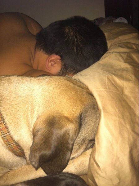 Bildschirmarbeiter - Picdump 14.06.2013