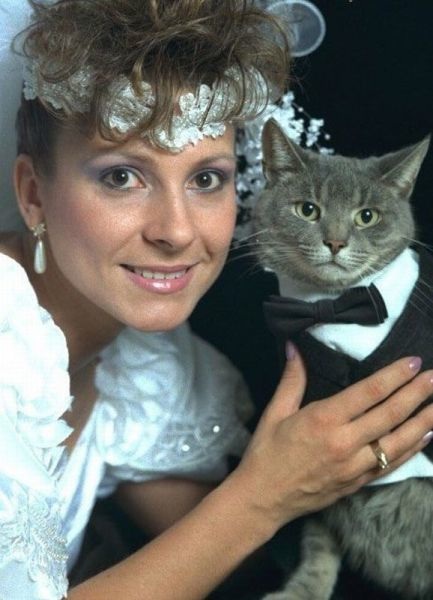 Bildschirmarbeiter - Picdump 14.06.2013