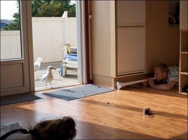 Bildschirmarbeiter - Picdump 14.06.2013