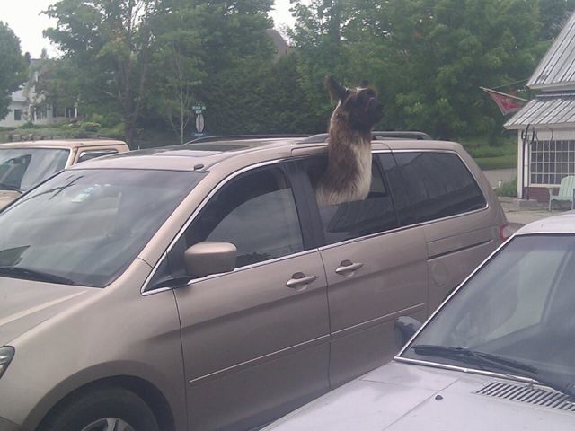 Bildschirmarbeiter - Picdump 14.06.2013