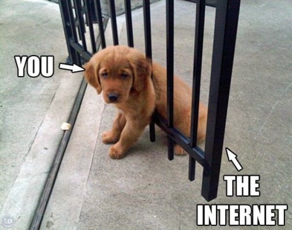 Bildschirmarbeiter - Picdump 14.06.2013