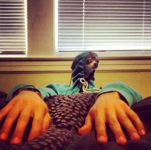 Bildschirmarbeiter - Picdump 14.06.2013