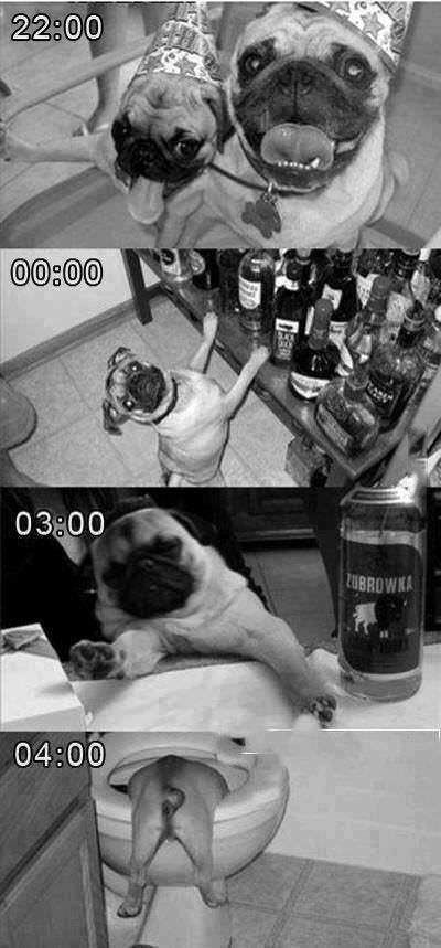 Bildschirmarbeiter - Picdump 14.06.2013