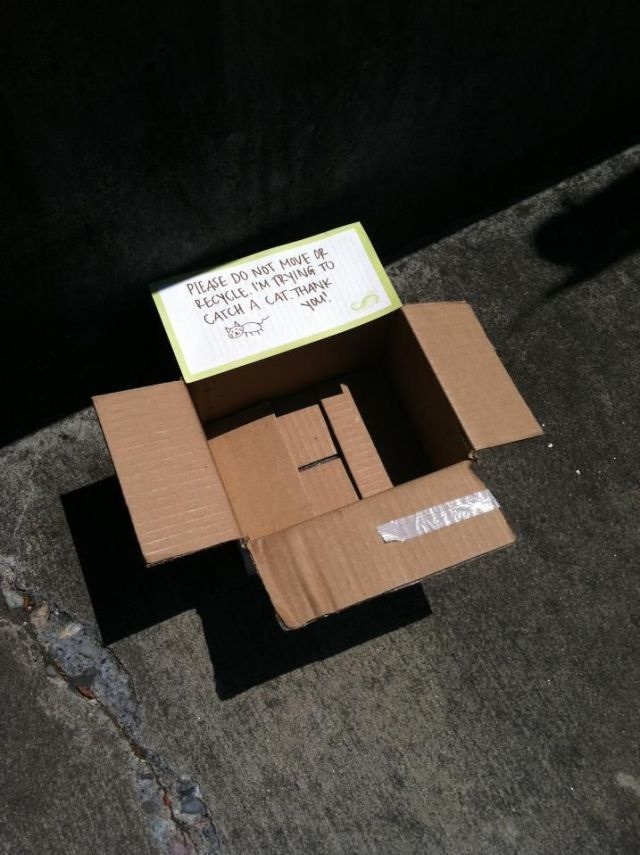 Bildschirmarbeiter - Picdump 14.06.2013