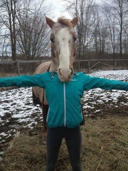 Bildschirmarbeiter - Picdump 14.06.2013