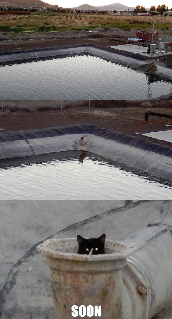 Bildschirmarbeiter - Picdump 05.07.2013