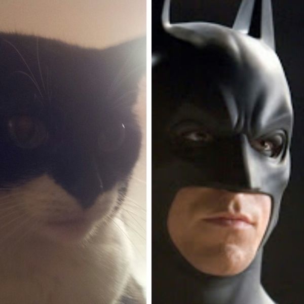 Bildschirmarbeiter - Picdump 12.07.2013