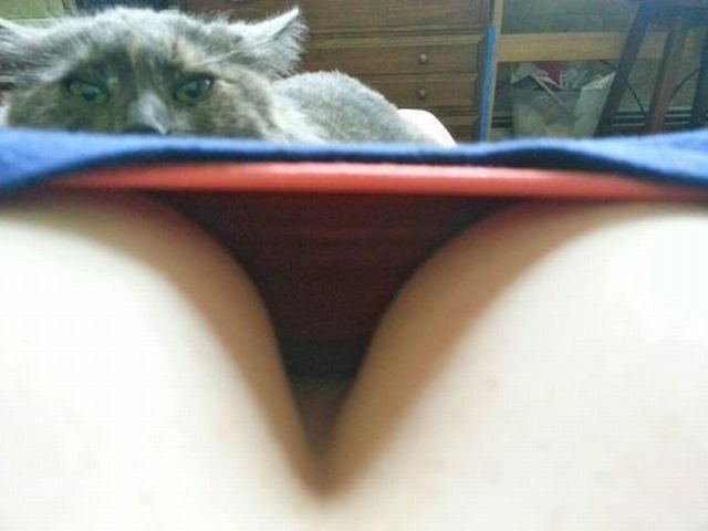 Bildschirmarbeiter - Picdump 12.07.2013